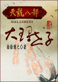 (天龙八部同人)天龙八部之大理世子